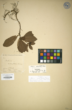 LE 01031921