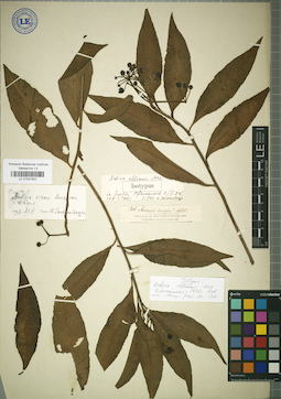 LE 01031922