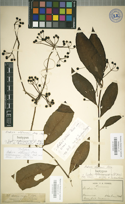 LE 01031924
