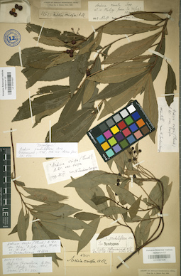 LE 01031927