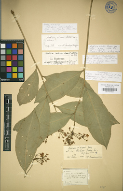 LE 01031928