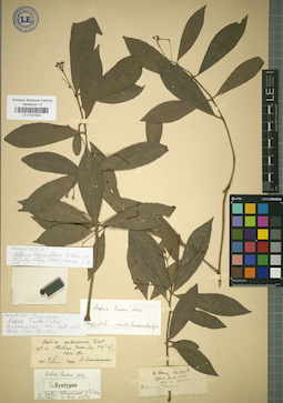 LE 01031930