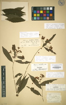LE 01031932
