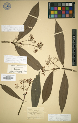LE 01031933