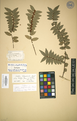 LE 01031937