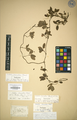 LE 01031938