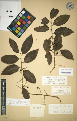 LE 01031939