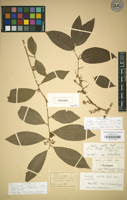 LE 01031940