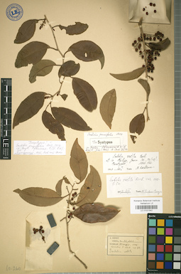 LE 01031942