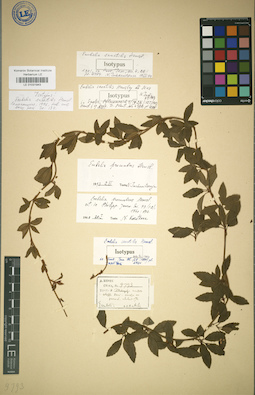 LE 01031943