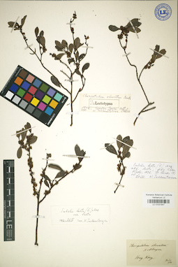 LE 01031947