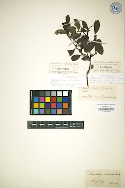 LE 01031948