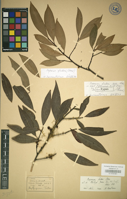 LE 01031951