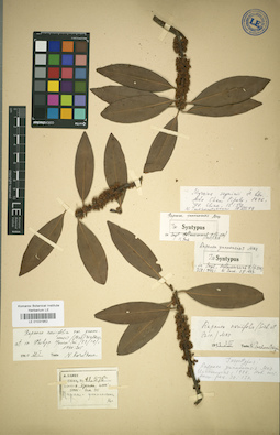 LE 01031952
