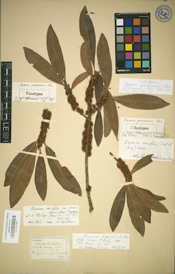 LE 01031953