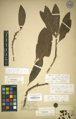 LE 01031954