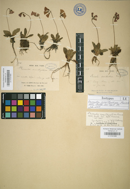 LE 01031956