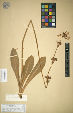 LE 01031958