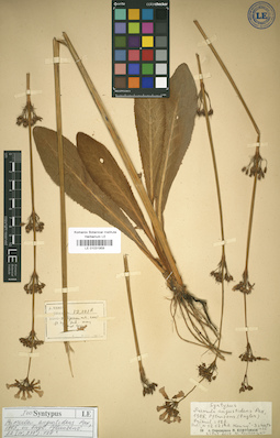 LE 01031959
