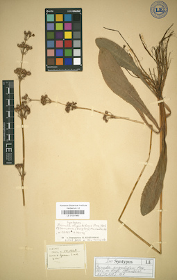 LE 01031960