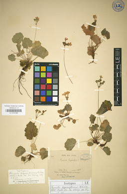 LE 01031963