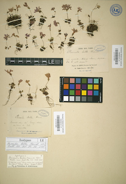 LE 01031964