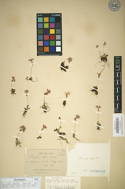 LE 01031966