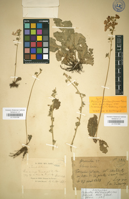 LE 01031968
