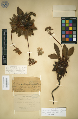 LE 01031969