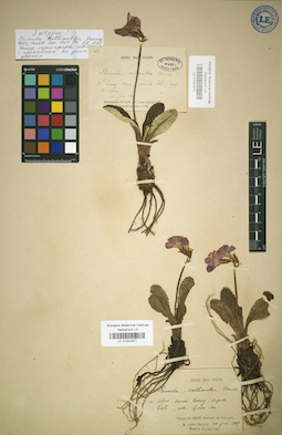 LE 01031970