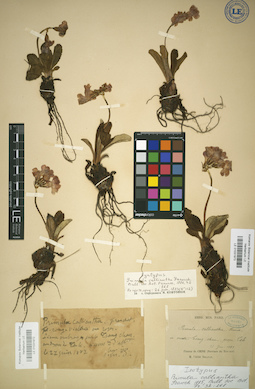 LE 01031973