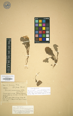 LE 01031974