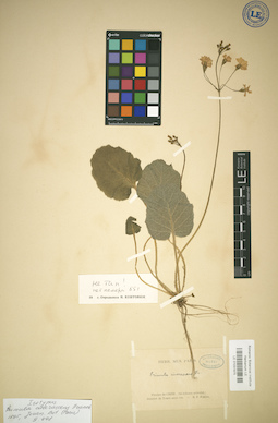 LE 01031975