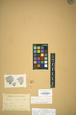 LE 01031976