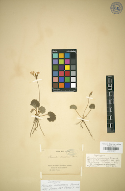LE 01031977