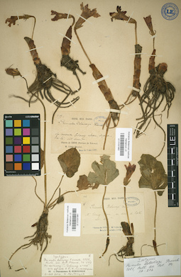 LE 01031982