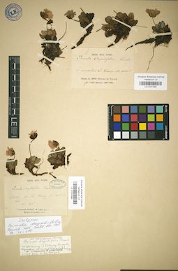 LE 01031984