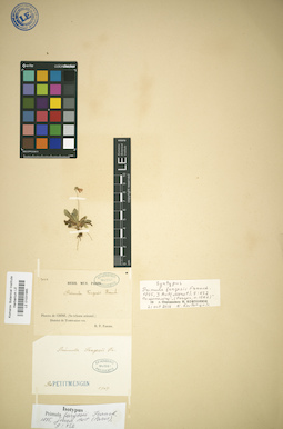 LE 01031985