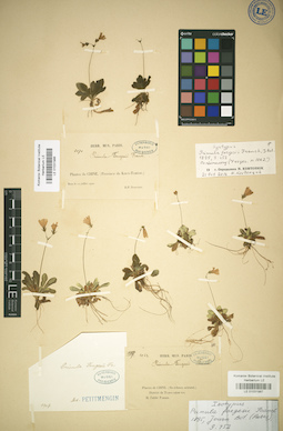 LE 01031987