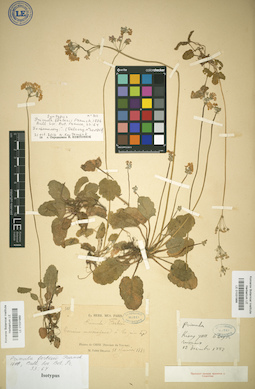 LE 01031988