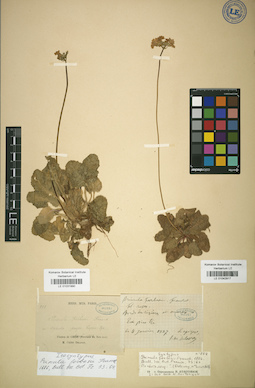 LE 01031990