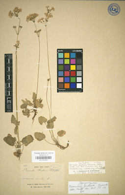 LE 01031991