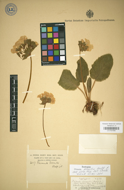 LE 01031992
