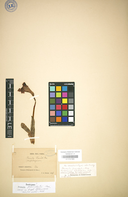LE 01031993