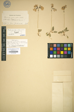 LE 01031995