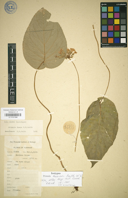 LE 01031996