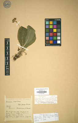 LE 01031997