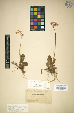 LE 01032003