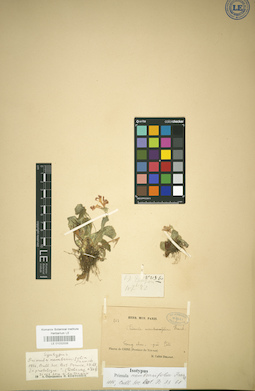 LE 01032006