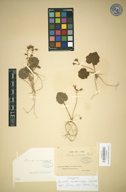 LE 01032007